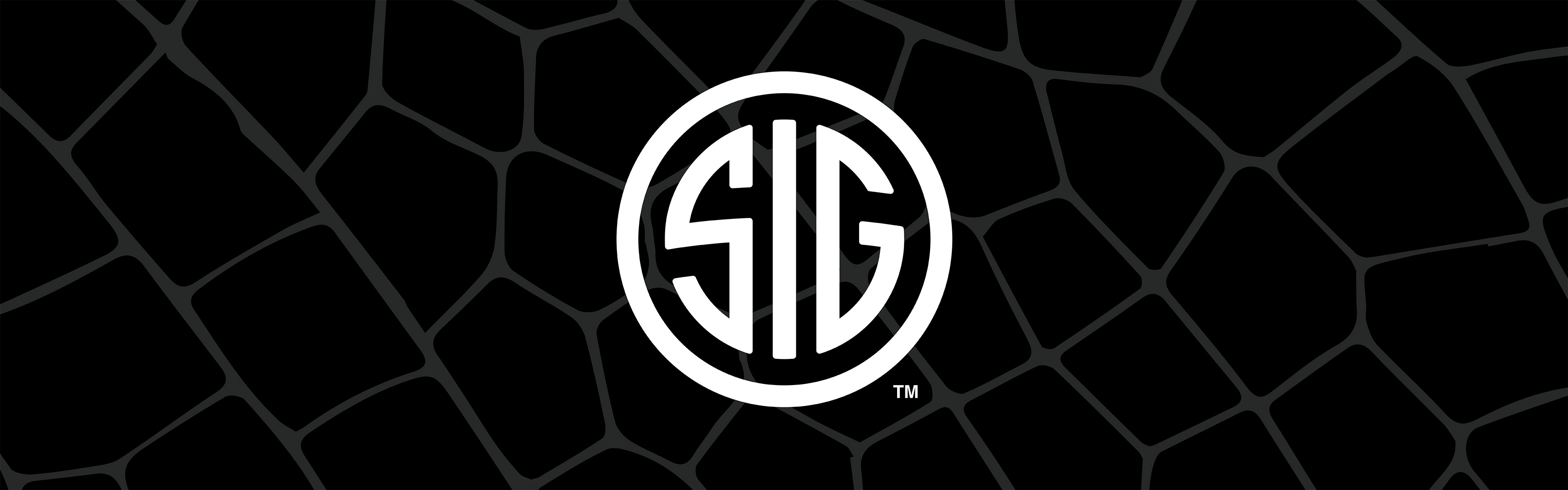 Sig Sauer Compatible Holsters