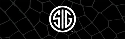 Sig Sauer Compatible Holsters